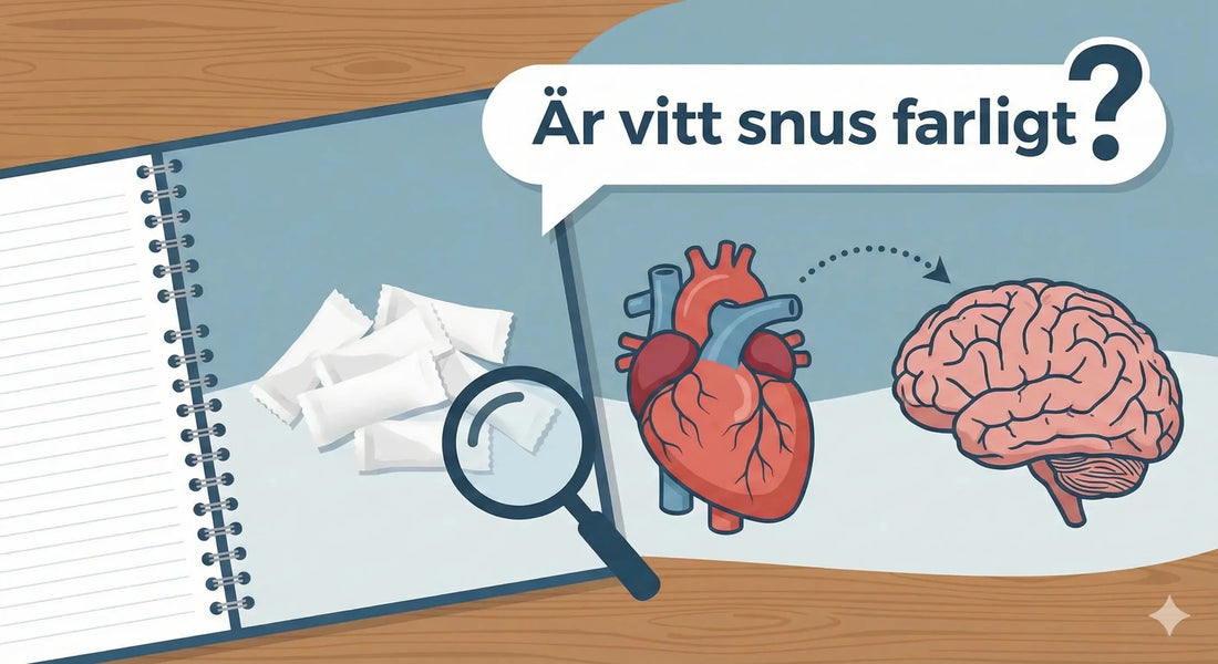 Är vitt snus farligt? Fakta, risker och vanliga frågor - Snusstugan.se