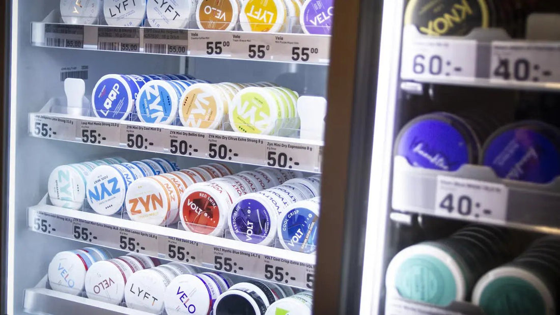 Förvara vitt snus – guide till rätt temperatur, hållbarhet och smak - Snusstugan.se