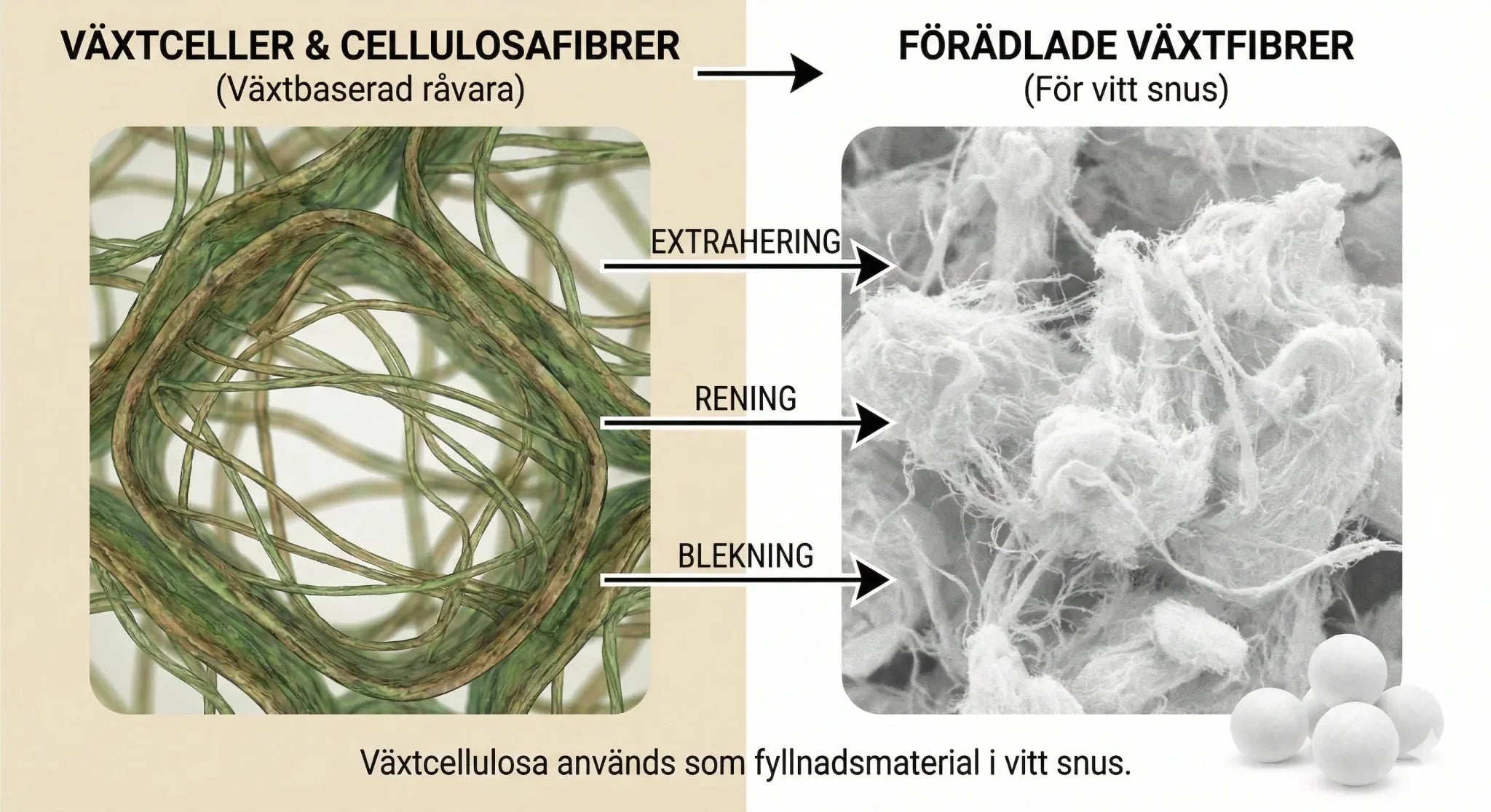 Vad innehåller vitt snus? Ingredienser och hur de påverkar upplevelsen - Snusstugan.se