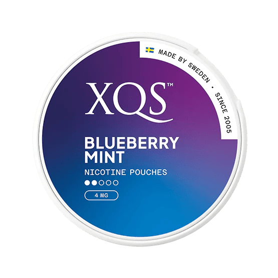 XQS Blueberry Mint 4mg - Snusstugan.se