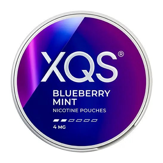 XQS Blueberry Mint 4mg - Snusstugan.se