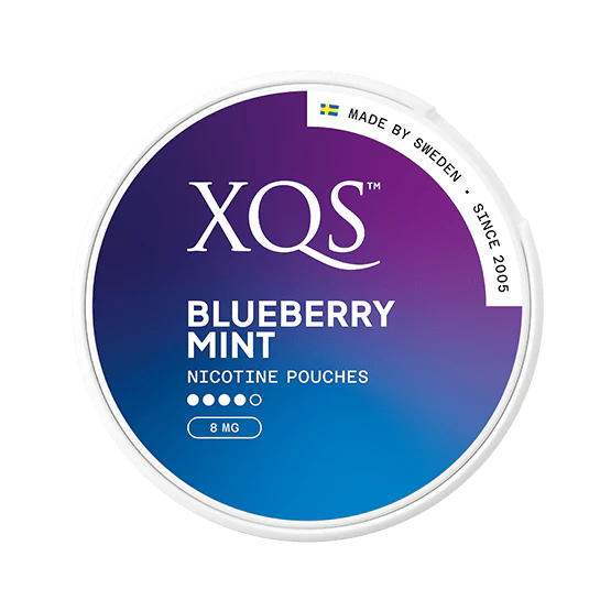 XQS Blueberry Mint Strong 8mg